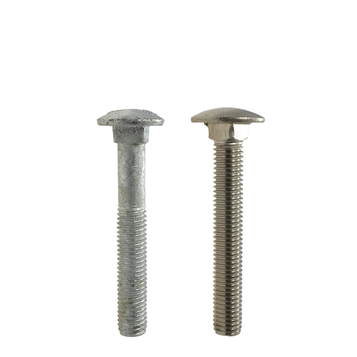 Cup Head Coach Bolts Cup Head Coach Bolts