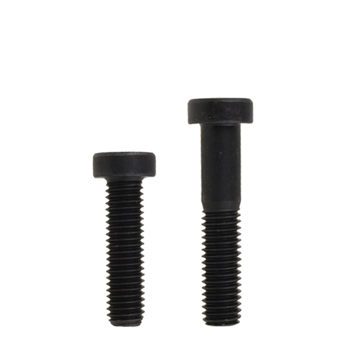 Low Head Socket Cap Low Head Socket Cap