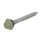 12g (5.50mm) x 50mm Top Grip NEO Pale Eucalypt Hex Flange Timber T17 Roofing Screw Galvanised