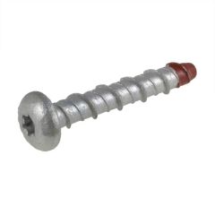 M6 x 65mm Galvanised Dome Torx (T30) Xbolt Screwbolt Anchors